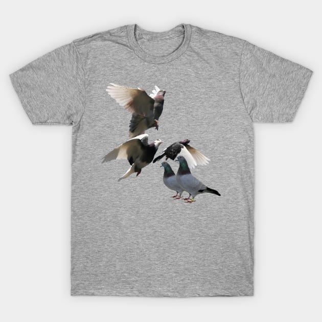 Pigeons T-Shirt by stargatedalek